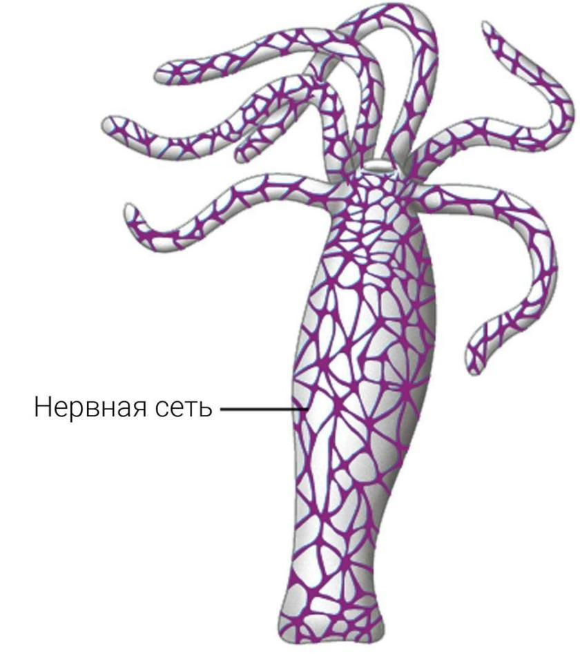 1000 мозгов — новая книга о многогранном человеческом интеллекте - 6