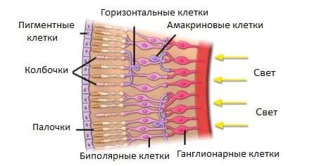 Изображение выглядит как текст, снимок экрана, дизайн  Автоматически созданное описание