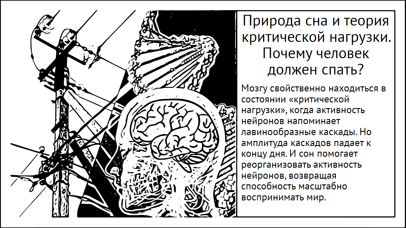 Природа сна и теория критической нагрузки. Почему человек должен спать? - 1