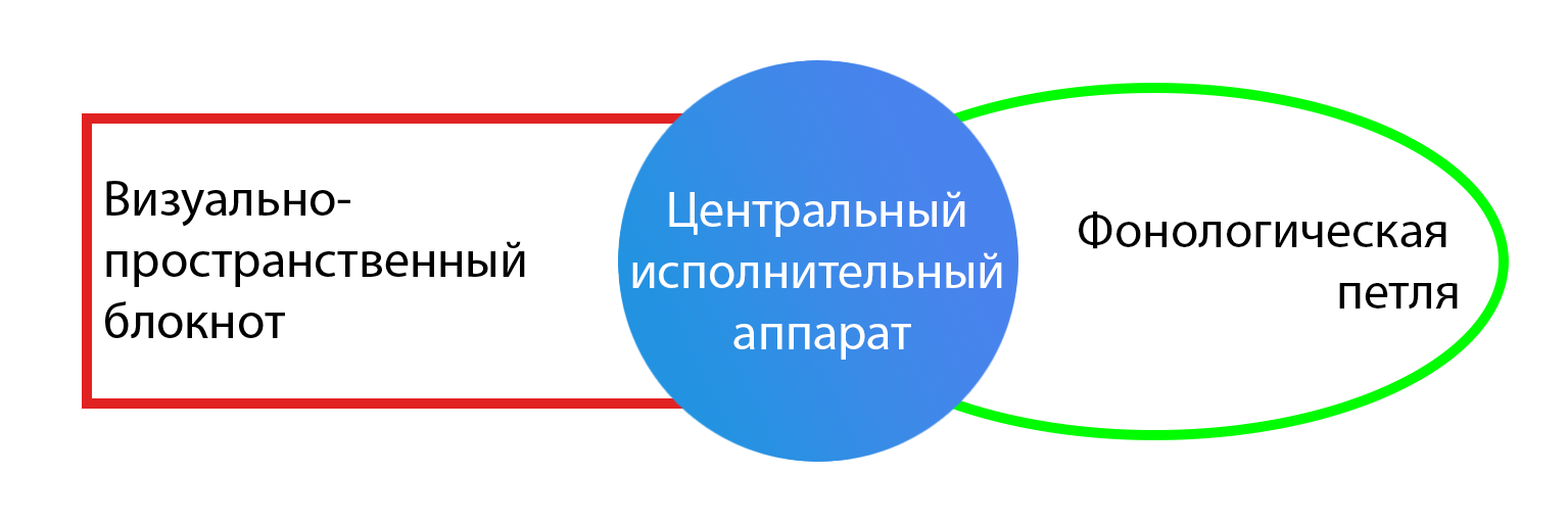 Увеличиваем оперативную память программиста, тренируясь в dual-n-back - 4