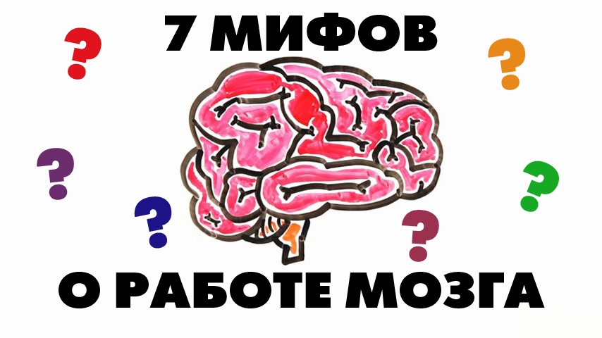 7 мифов о работе мозга - 1