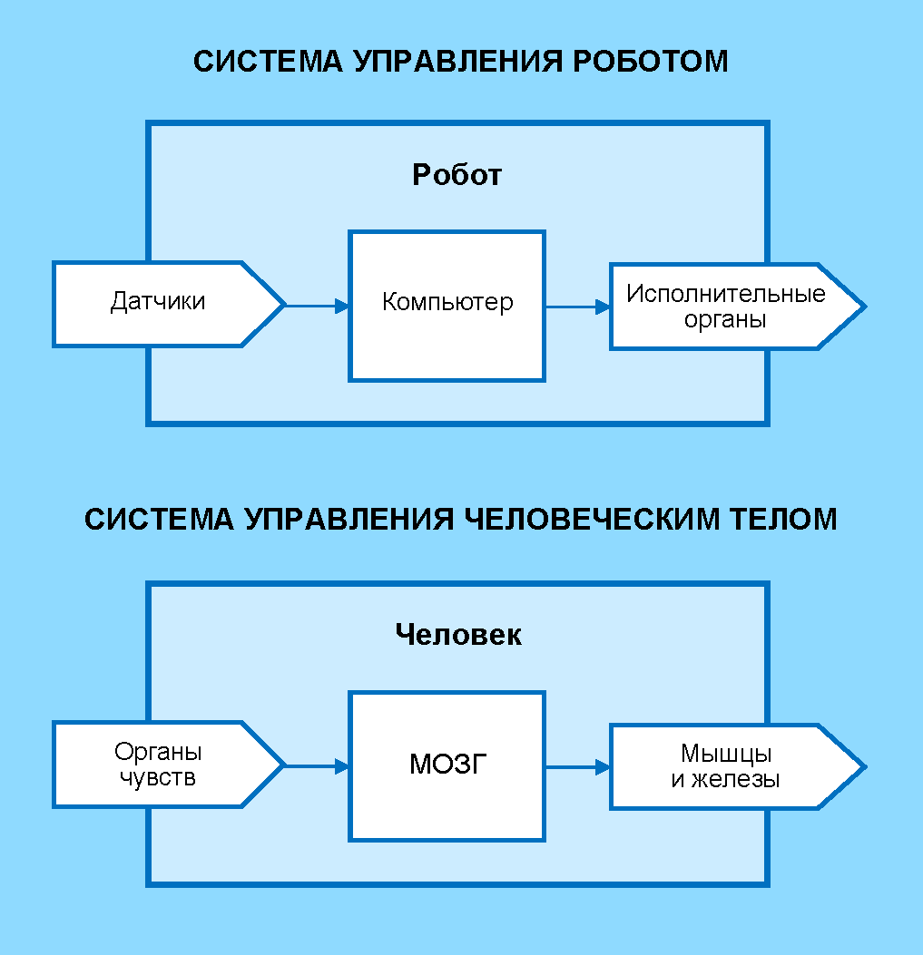 Биологическая система управления человеческим телом. Человек или челобот? - 17