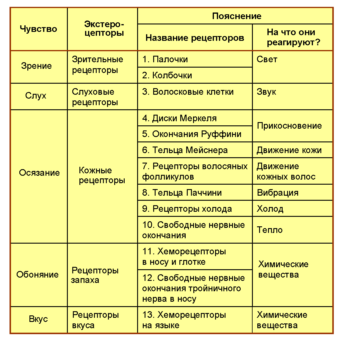 Биологическая система управления человеческим телом. Человек или челобот? - 21