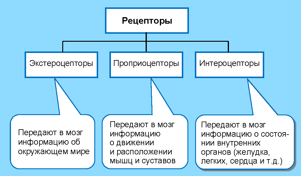 Биологическая система управления человеческим телом. Человек или челобот? - 23