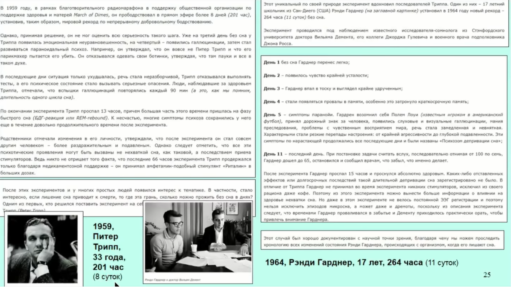 Если крысе не давать спать, она умрёт через 3 недели — как работают мозг и сон - 19