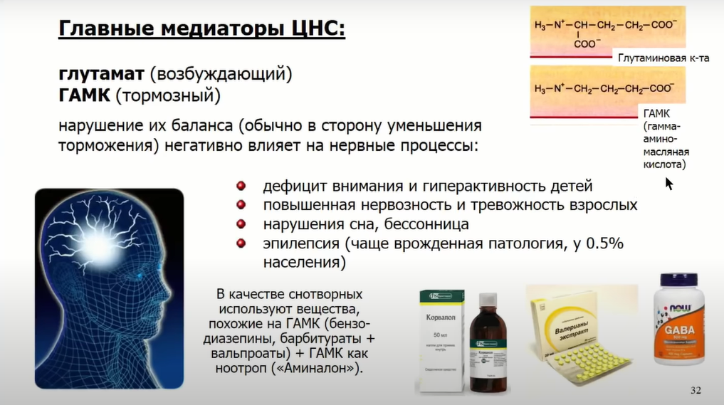 Если крысе не давать спать, она умрёт через 3 недели — как работают мозг и сон - 26