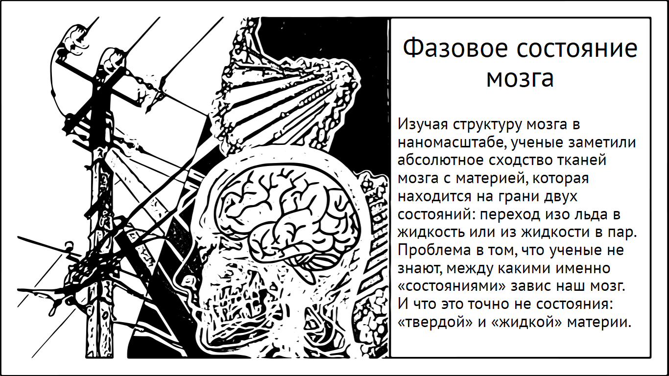 Фазовое состояние мозга и готовность провалиться в неизвестность - 1