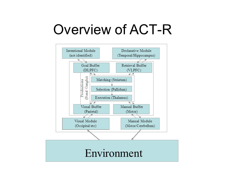 Рисунок 1. Визуализация работы архитектуры ACT-R