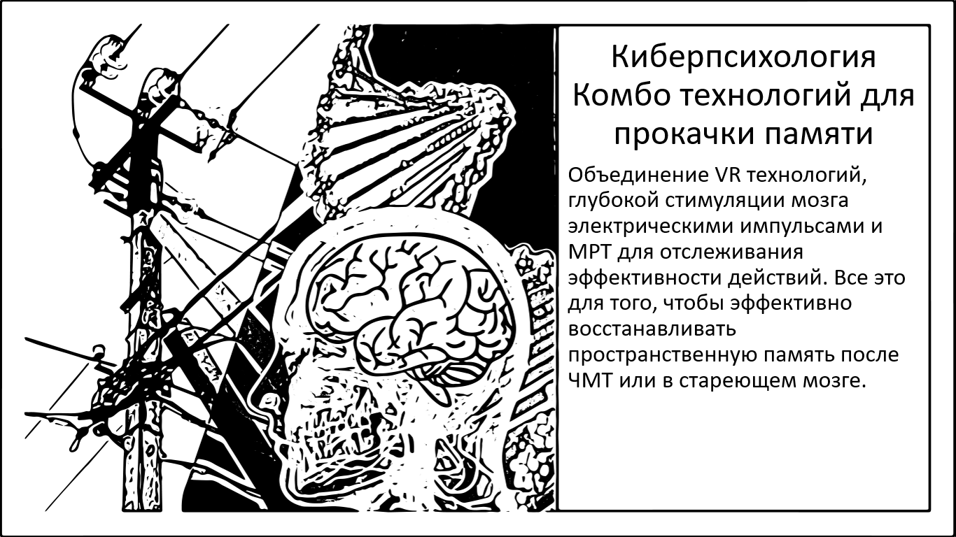 Киберпсихология. Улучшение памяти с помощью VR и глубокой стимуляции мозга - 1