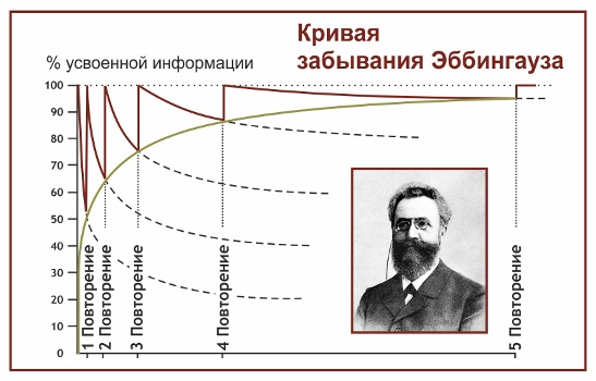 Кривая Эббингауза: как хакнуть свою память и запоминать до 95% информации - 4