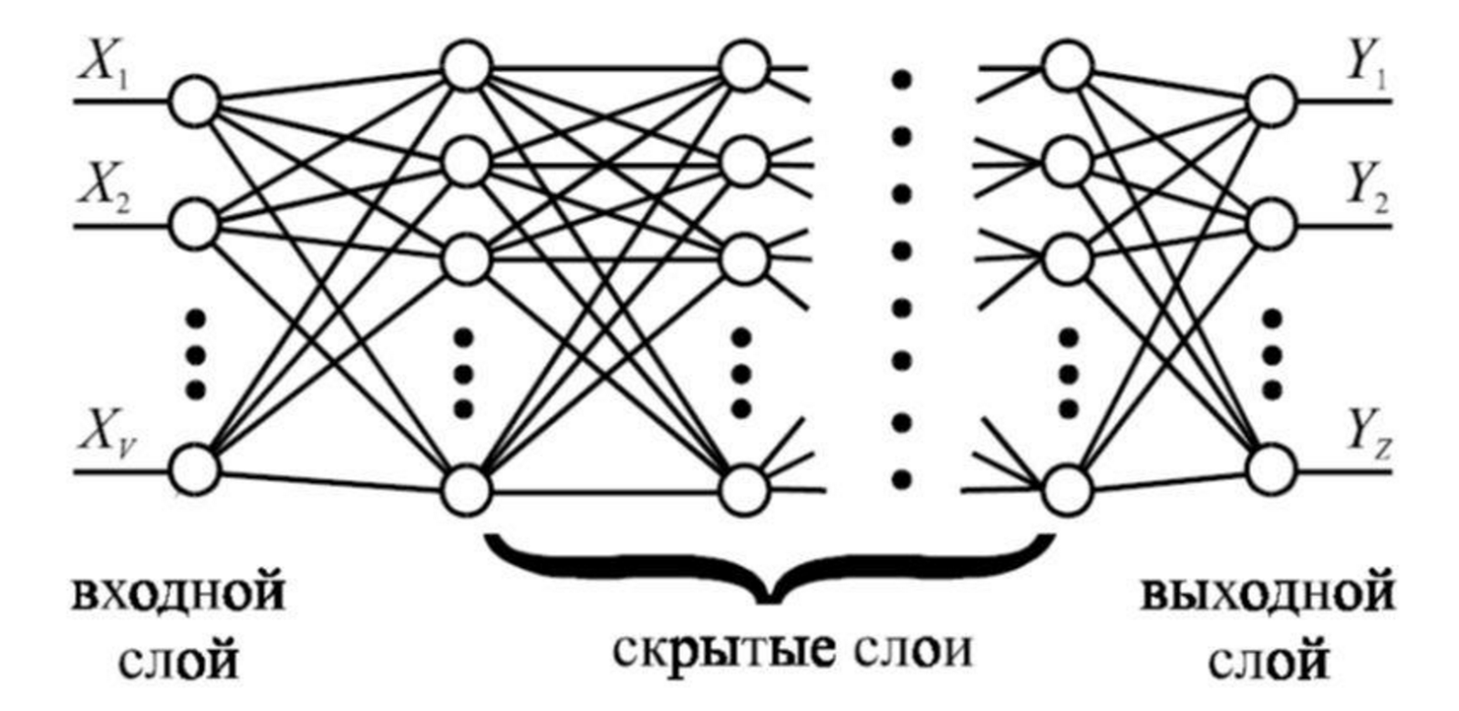 Логика сознания. Часть 6. Кора мозга как пространство вычисления смыслов - 8