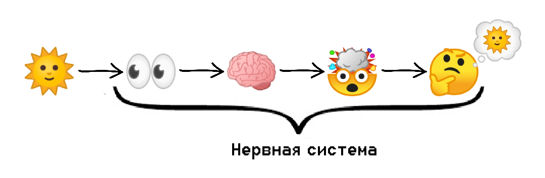 Оперативная память мозга: что общего между компьютером и мозгом - 3