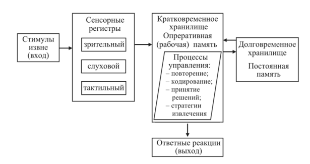 Оперативная память мозга: что общего между компьютером и мозгом - 4