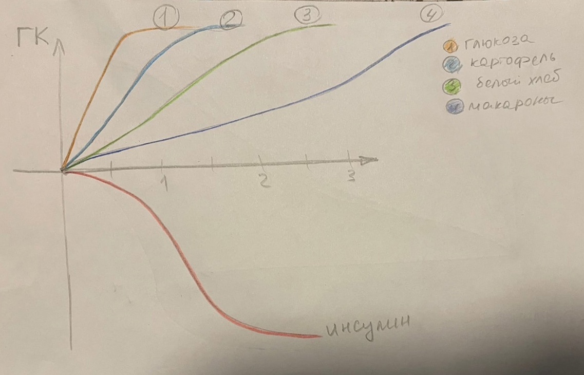 Регуляция сахара в крови - 8