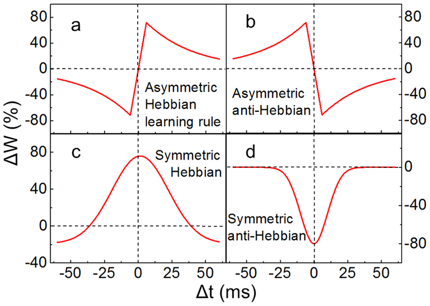 https://www.researchgate.net/figure/Ideal-STDP-learning-rules-a-Asymmetric-Hebbian-learning-rule-b-Asymmetric_fig6_262189354  