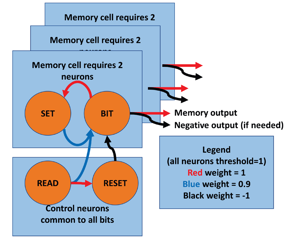 Схема, показывающая синаптические связи, необходимые для хранения одного бита информации в кратковременной памяти. Этот механизм требует два нейрона на бит и потребляет энергию только во время операций чтения и записи.