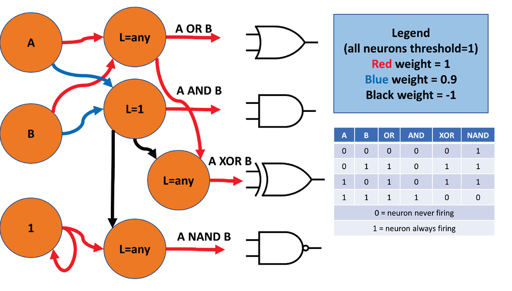 Если «0» определяется как не возбуждённый, а «1» определяется как активный, несколько синапсов могут заставить нейроны LIF выполнять любую базовую логическую функцию. Обратите внимание, что любой нейрон спонтанно действует как элемент ИЛИ. A AND B требует, чтобы ни один входной синапс не был достаточно сильным, чтобы вызвать срабатывание, но оба должны приводить к активации. XOR сработает, если сработает A OR B, за исключением случаев, когда срабатывает A AND B. NAND (отрицание “И”) немного сложнее в этой логике. Нейрон “1”, стимулирующий сам себя, будет срабатывать непрерывно, поэтому NAND также будет срабатывать непрерывно, пока не сработает A AND B.