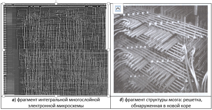 Сознание и мозг - 4