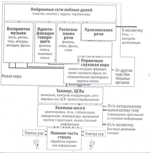 Сознание и мозг - 6