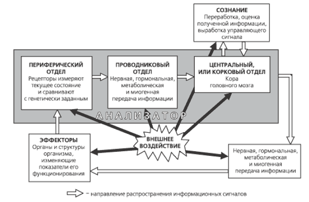 Сознание и мозг - 7