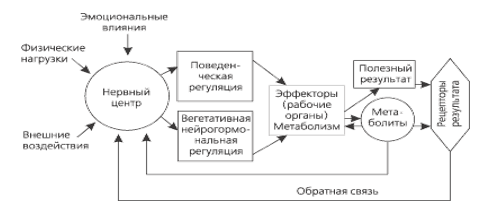 Сознание и мозг - 8