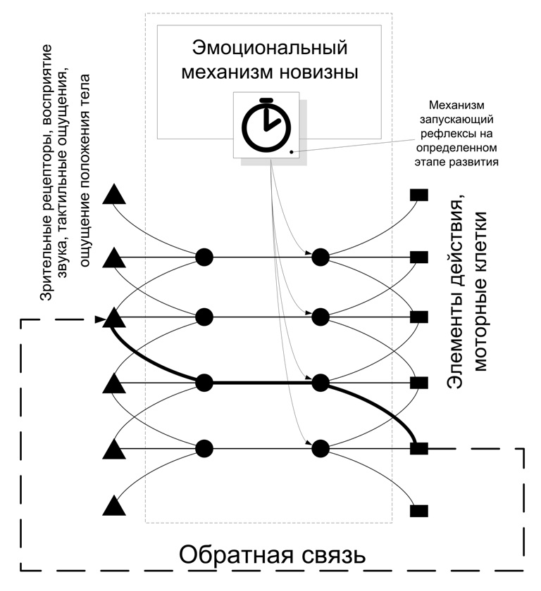 Структура и стартовые настройки мозга - 19