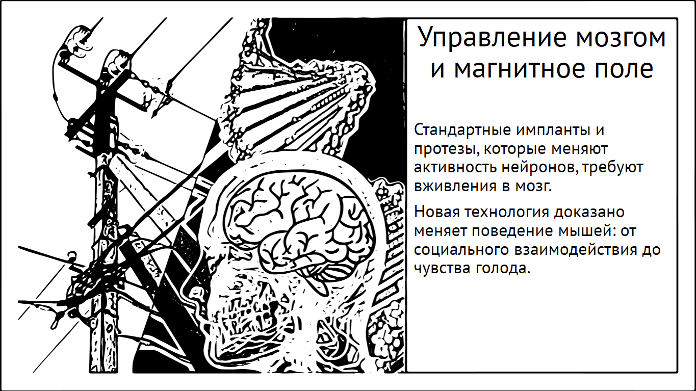 Управление мозгом с помощью магнитных полей. Root доступ к аппетиту и родительским инстинктам - 1