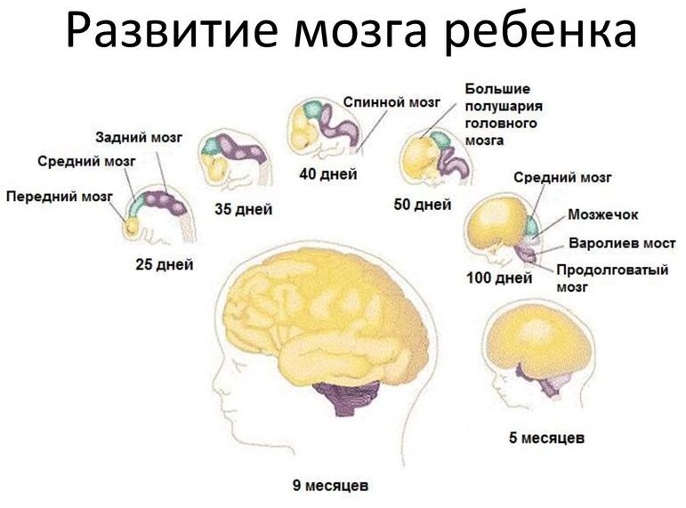 Как человеку достигнуть бессмертия практически - 10