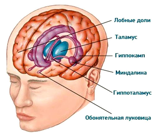 Как человеку достигнуть бессмертия практически - 4