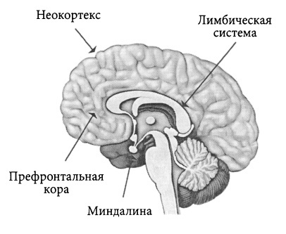 Как человеку достигнуть бессмертия практически - 5