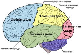 Как человеку достигнуть бессмертия практически - 6