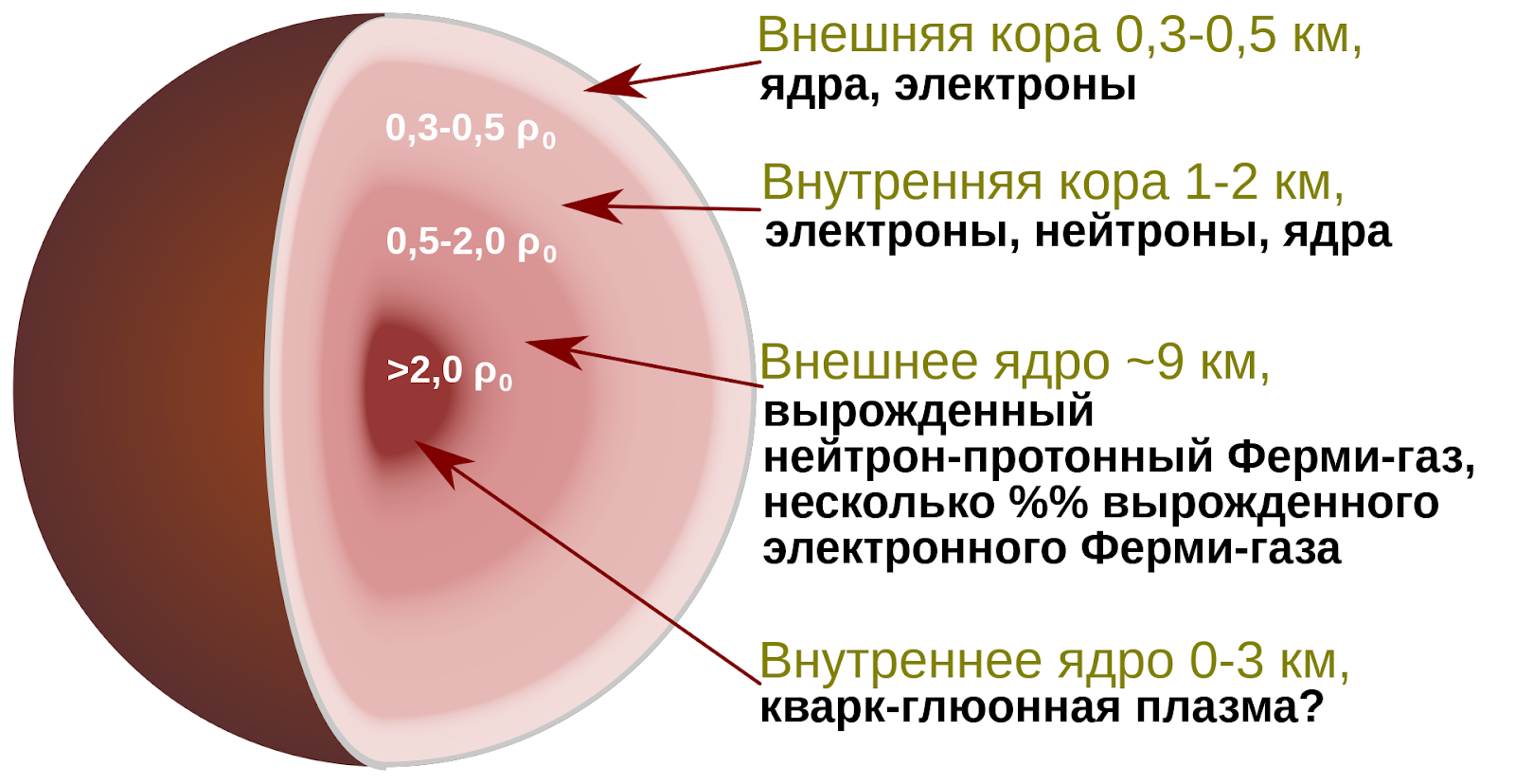 Куда уходят звёзды? Сверхновые события, химия нейтронных звёзд и массовые вымирания. Интервью с астрономом - 13