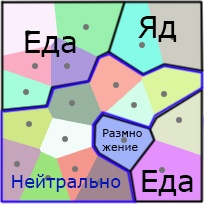 Обучение живых и «биологичная» нейронная сеть - 5