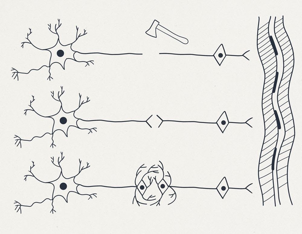 Рисунок 2.