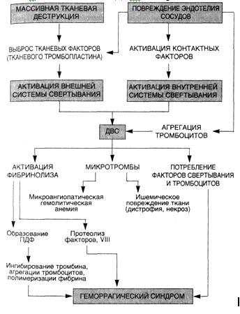 Куда-то сюда надо впихнуть и нарушения липидного обмена при травмах. Куда - хз.