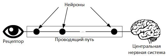 Сколько информации за жизнь воспринимает человек - 9