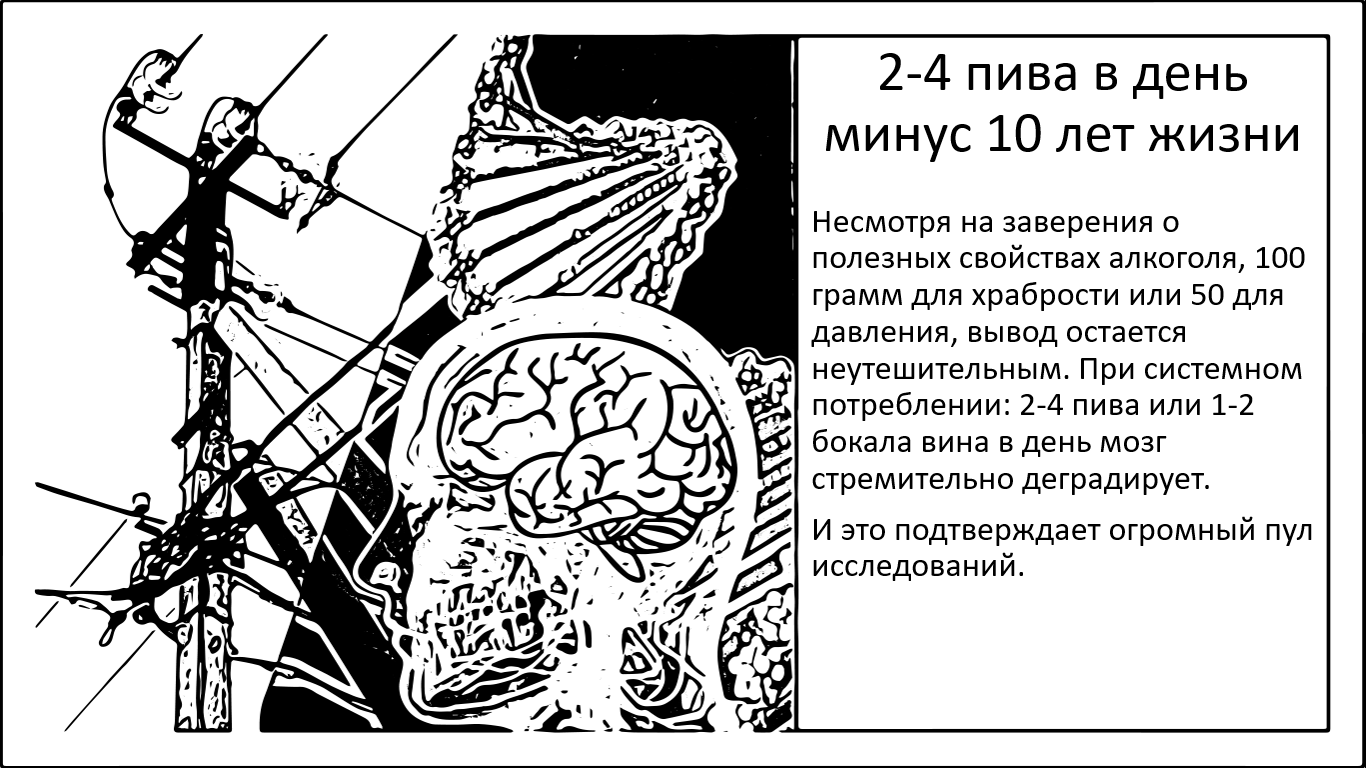Четыре кружки пива в день – минус 10 лет для мозга - 1