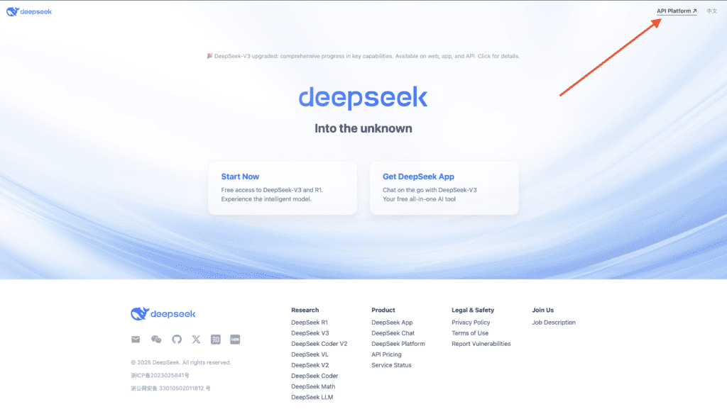 DeepSeek работа с API и оплата доступа из РФ - 2