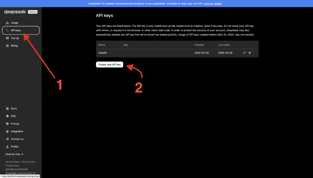 DeepSeek работа с API и оплата доступа из РФ - 4
